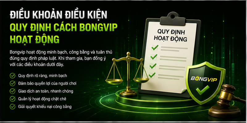 Điều khoản điều kiện quy định cách Bongvip hoạt động