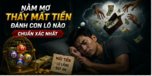 Nằm Mơ Thấy Mất Tiền Đánh Con Lô Nào Chuẩn Xác Nhất 